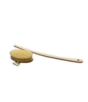 Bath brush with removable handle